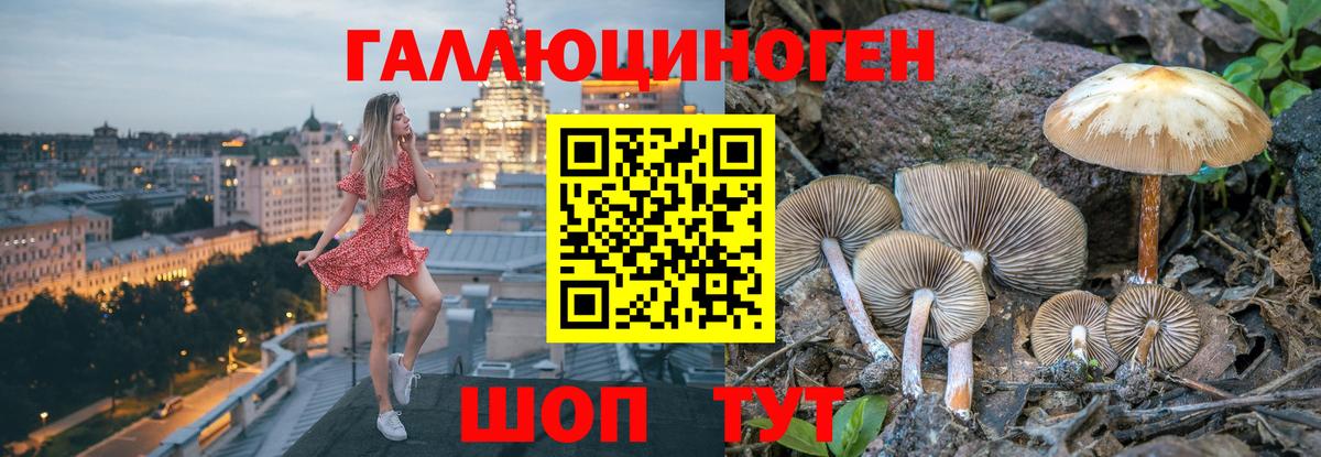 где продают наркотики  Вход с VPN  Чита  Псилоцибиновые грибы мицелий  Галлюциногенные грибы ЛСД 